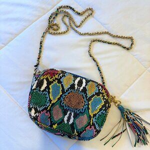 Multi-colored Snakeskin Crossbody Purse